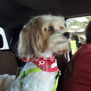 Meet your Posher, Paula